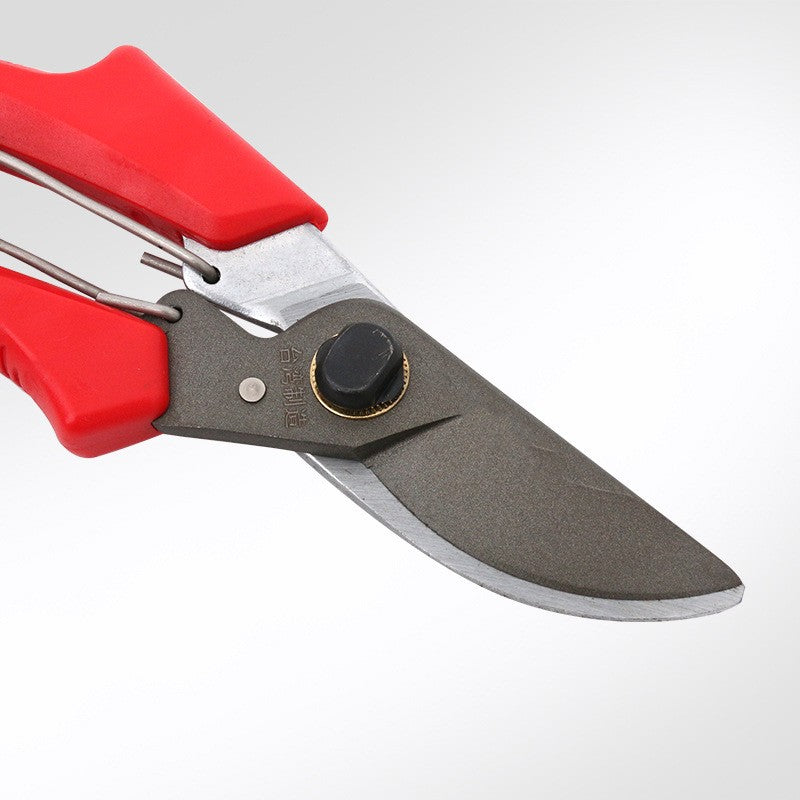 Professional Pruning Shears for Fruit Trees – Precise Tree Pruner Garden Tool