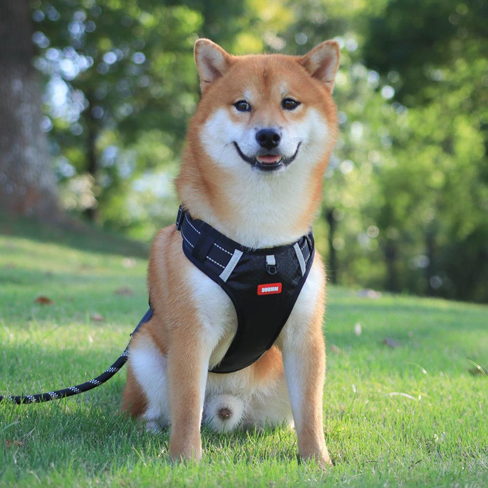 Dog Harness Anti-Pull | Breathable Reflective Training