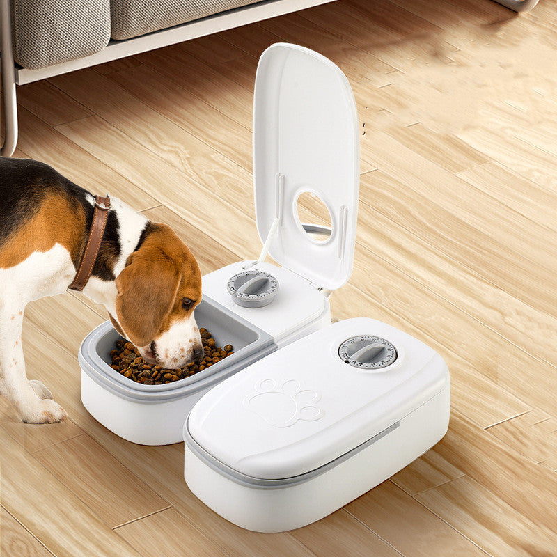 Automatic Pet Feeder Dog Cat | Timer Smart Pet Food Dispenser Stainless Steel